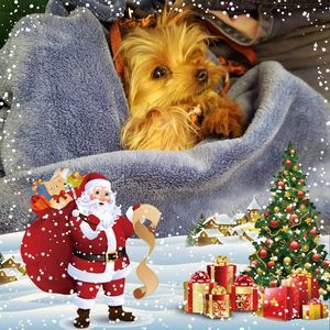 Meet your Posher, Anita